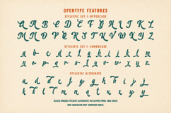 Mocktails Sunday - Tropical Vintage Font Duo Product Image 13