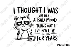 Funny Cat Sarcastic Sassy Bundle Png Product Image 3