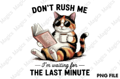 Funny Cat Sarcastic Sassy Bundle Png Product Image 8