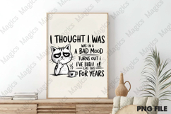 Funny Cat Sarcastic Sassy Adult Quote Product Image 3