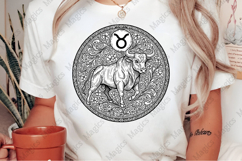Mystic Zodiac Collection PNG Product Image 2