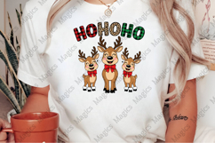 Whimsical Christmas Reindeer PNG Product Image 2