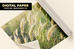 Wheat Digital Paper Product Image 1