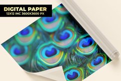 Peacock Feather Digital Paper Product Image 1