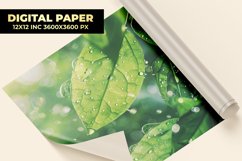 Water Drops With Leaves Digital Paper Product Image 1