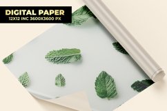 Mint Leaves Digital Paper Product Image 1