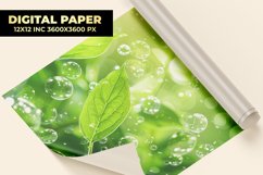 Water Drops With Leaves Digital Paper Product Image 1
