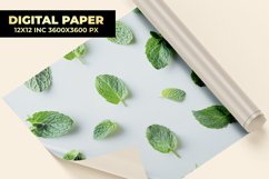 Mint Leaves Digital Paper Product Image 1