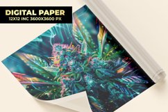 Colorful Cannabis Digital Paper Product Image 1