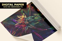 Colorful Cannabis Digital Paper Product Image 1