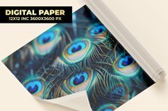 Peacock Feather Digital Paper Product Image 1
