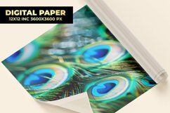 Peacock Feather Digital Paper Product Image 1
