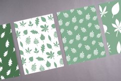Set of Leaves Patterns Product Image 3