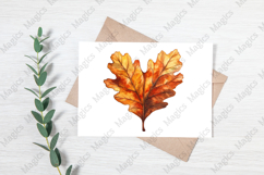 Watercolor Acorns &amp; Oak Leaves Clipart Product Image 3