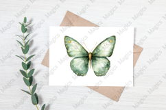 Watercolor Autumn butterflies Product Image 3
