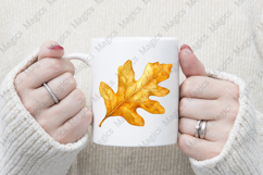 Watercolor Acorns &amp; Oak Leaves Clipart Product Image 4