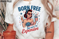 Funny 4th of July USA Patriotic Vintage Product Image 2