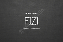 Fizi - Modern Minimalist Sans Serif Font Product Image 1