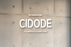 Cidode - Sophisticated &amp; Elegant Modern Serif Product Image 1