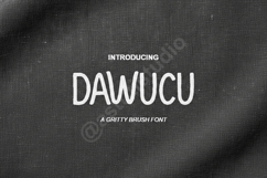 Dawucu - Modern Elegant Serif Typeface Product Image 1