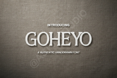 Goheyo - Modern Elegant Display Sans Serif Product Image 1