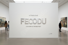 Fecodu - Elegant Modern Serif Typeface Product Image 1