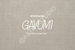 Gavumi - Modern Minimalist Sans Serif Product Image 1