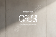 Ciruyi - Chic Modern Serif Typeface Product Image 1