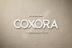 Coxora - Elegant Modern Serif Display Font Product Image 1