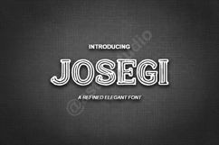 Josegi - Modern Elegant Serif Typeface Product Image 1