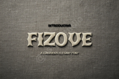Fizove - Modern Chic Serif Font Product Image 1