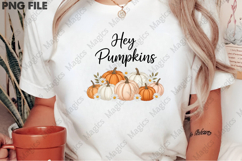 Hey Pumpkin Sublimation, Fall Png Product Image 2