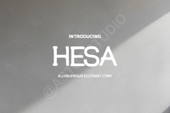 Hesa - Modern Sophisticated Serif Font Product Image 1