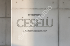 Ceselu - Elegant &amp; Modern Sans Serif Typeface Product Image 1