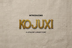Kojuxi - Sophisticated Modern Sans Serif Product Image 1