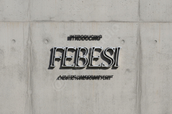 Febesi - Elegant Modern Serif Font Product Image 1