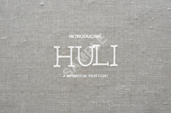 Huli - Sophisticated Modern Sans Serif Typeface Product Image 1