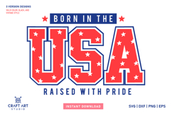 Born In The USA SVG Cutfile | Patriotic SVG Design Clipart Product Image 1