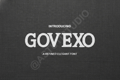 Govexo - Modern Geometric Sans Serif Product Image 1