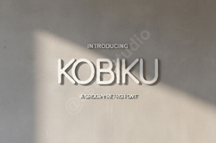 Kobiku - Modern Elegant Serif Font Product Image 1