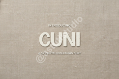 Cuni | Modern &amp; Elegant Minimalist Sans Serif Product Image 1
