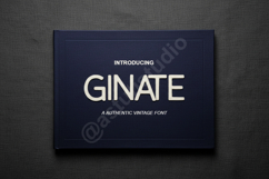 Ginate - Modern Sophisticated Serif Font Product Image 1