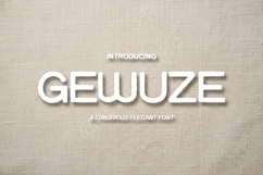 Gewuze - Sophisticated Modern Sans Serif Product Image 1