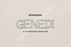 Genedi - Sophisticated Modern Serif Font Product Image 1