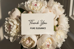 Jimoxi - Elegant Modern Display Serif Product Image 13