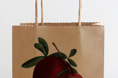 Hand Painted Pomegranate Botanical Clipart Set PNG Product Image 12