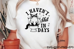 I Haven&#039;t Shit In Days Product Image 2