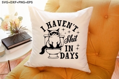 I Haven&#039;t Shit In Days Product Image 3