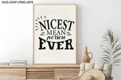 Nicest Mean Person Ever Product Image 3