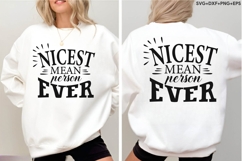 Nicest Mean Person Ever Product Image 4